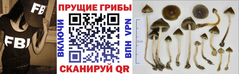 купить наркоту Байкальск ссылка на мегу ссылки Галлюциногенные грибы GOLDEN TEACHER